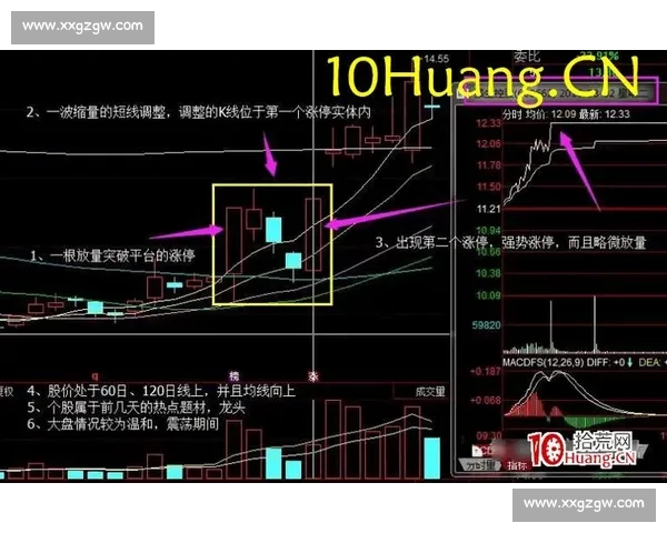 系统解析体育投注技巧提升胜率与风险控制的实战方法指南全面进阶