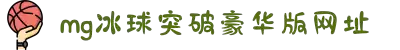 mg冰球突破·豪华版(试玩)官方网站